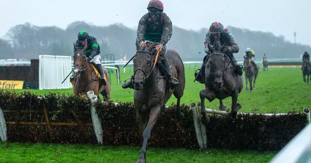 Shoot First wins the Betfair Stayers’ Handicap Hurdle at Haydock Park