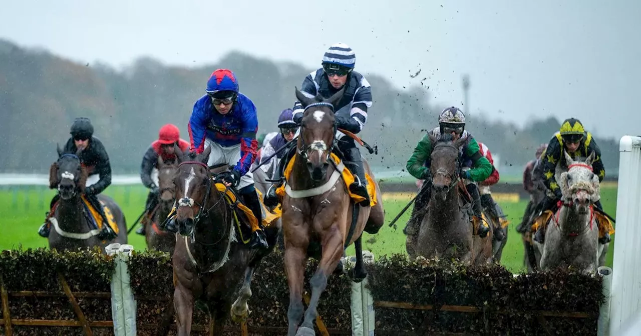 Steel Ally makes all to win the Betfair Racing Podcasts Handicap Hurdle