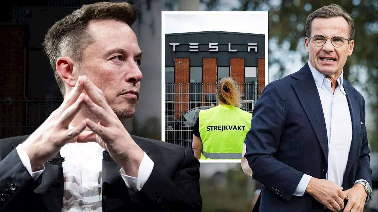 Hotet mot Sverige – efter protesterna mot Musk