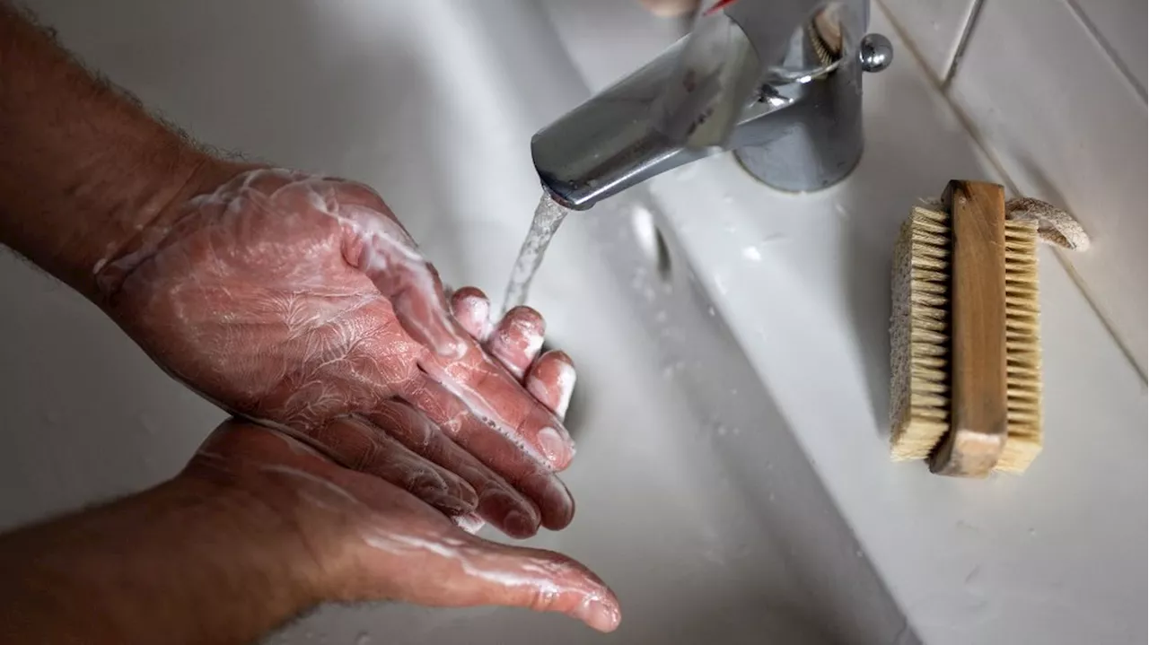 VRAI OU FAUX. Le lavage des mains est-il le geste barrière 'le plus efficace' contre les virus de l'hiver, com