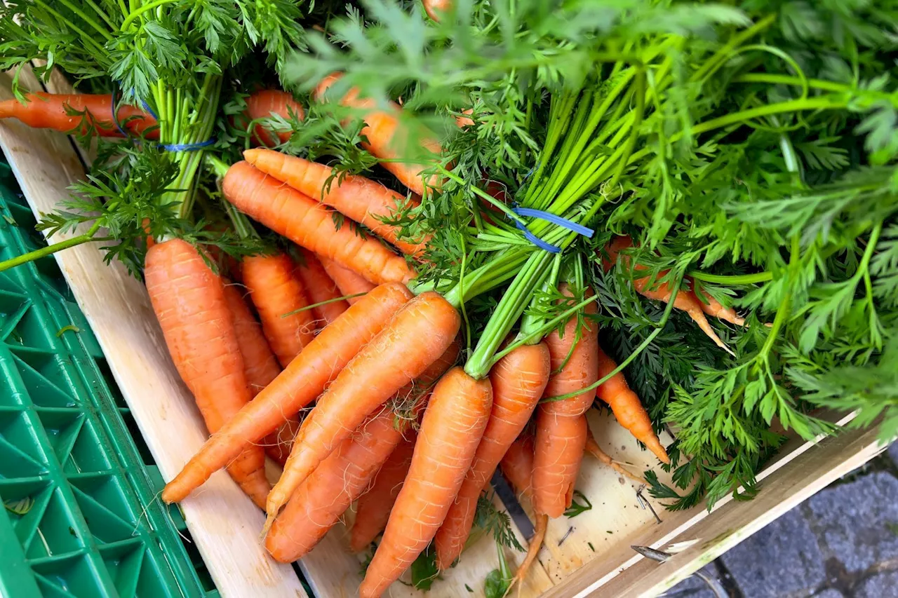 The E. Coli Carrot Outbreak Has Gotten Bigger