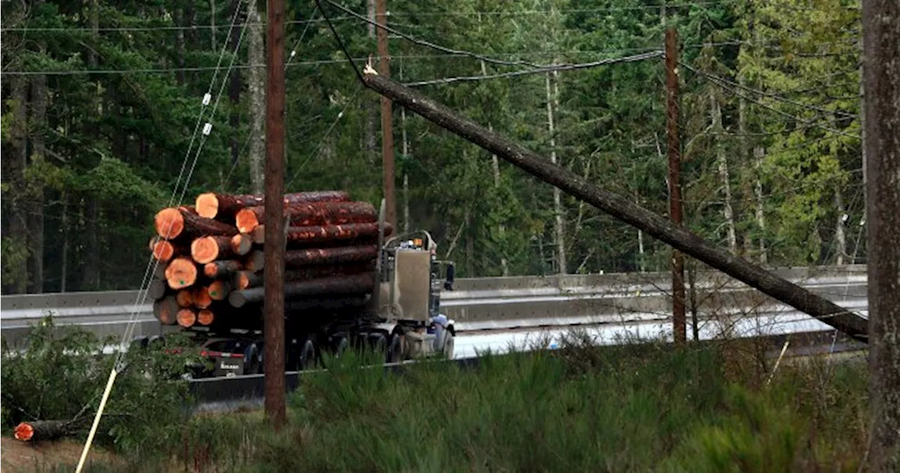 BC Hydro says power almost fully restored after B.C. windstorms