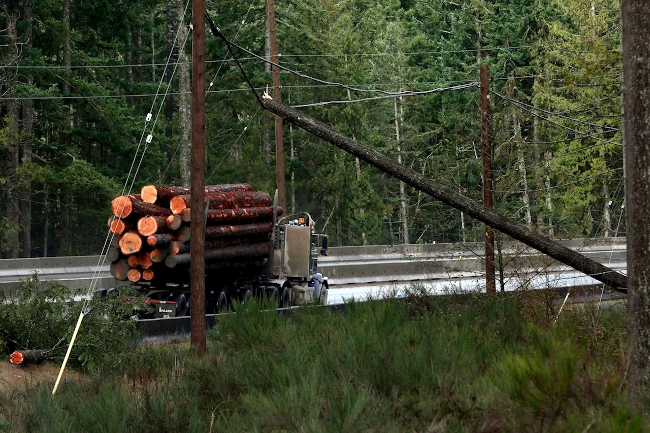 BC Hydro says power almost fully restored after windstorms