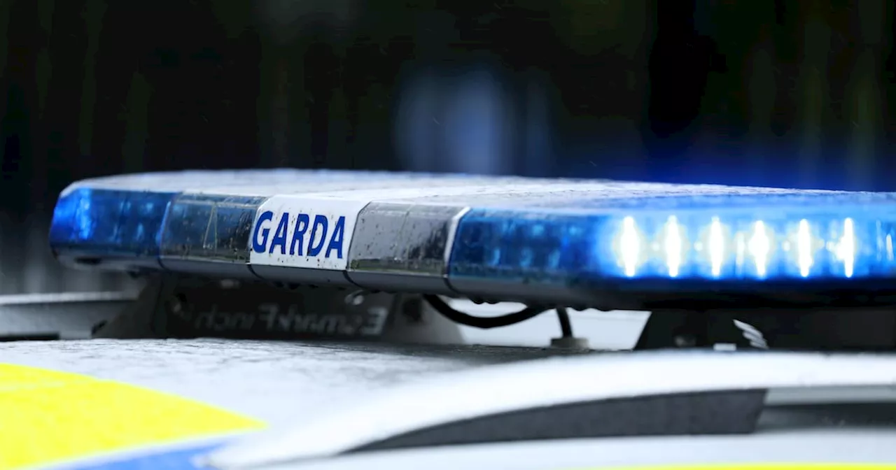 Two Men Arrested in Limerick in €560,000 Cocaine Bust