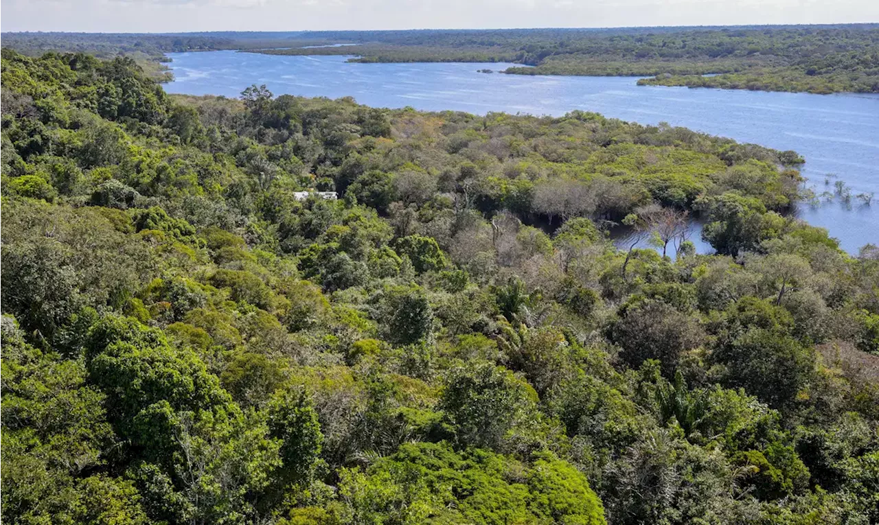 CNJ abre semana nacional de regularização fundiária na Amazônia