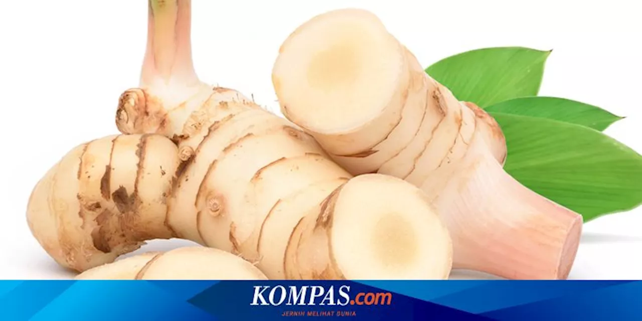 6 Manfaat Minum Air Rebusan Lengkuas untuk Kesehatan Tubuh