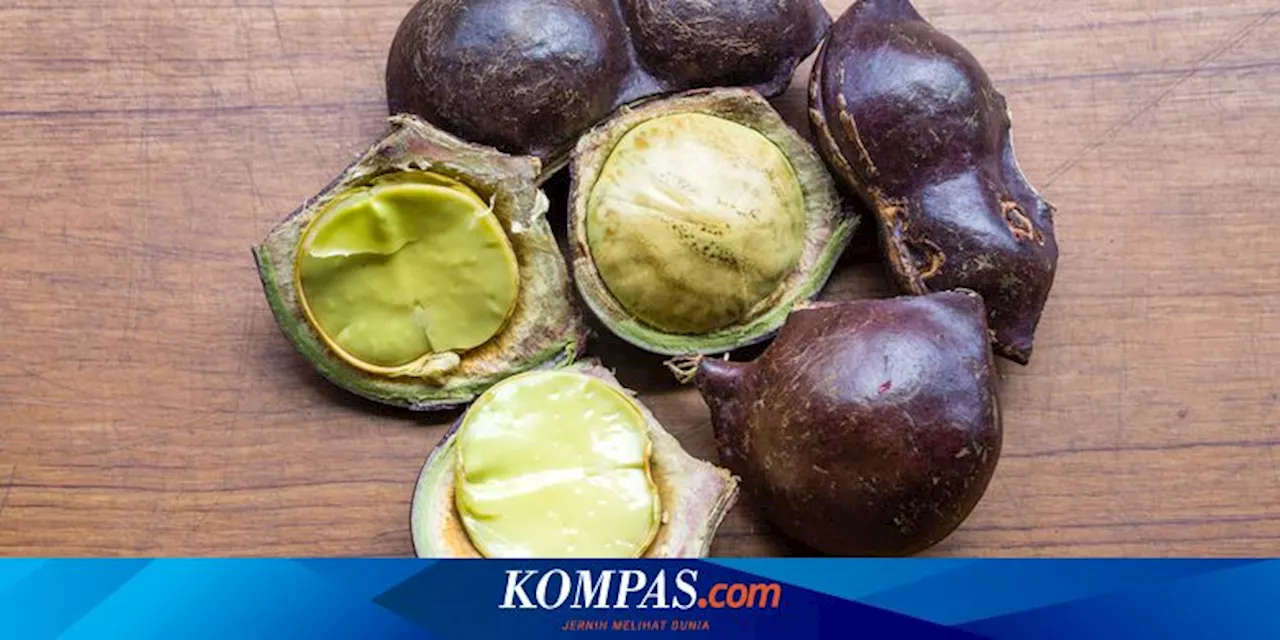 Manfaat Rutin Mengonsumsi Jengkol serta Efek Sampingnya