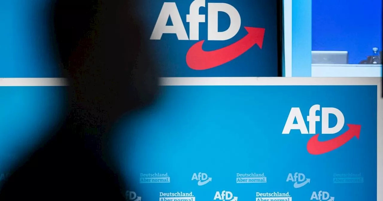 Bayerische AfD beschließt Resolution zur 'Remigration'