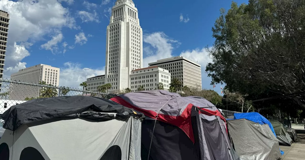 LA council member wants city to cut ties with region’s key homeless agency after scathing audit