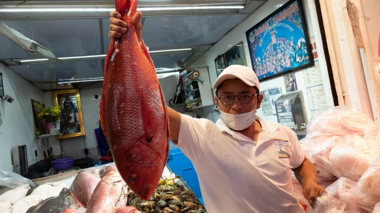 3 lugares en Veracruz para comprar mariscos frescos y a buen precio