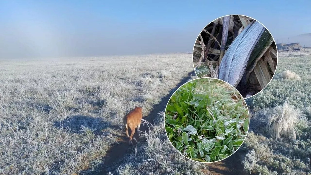 Estos municipios de Veracruz tuvieron las temperaturas más bajas de la temporada invernal 2024