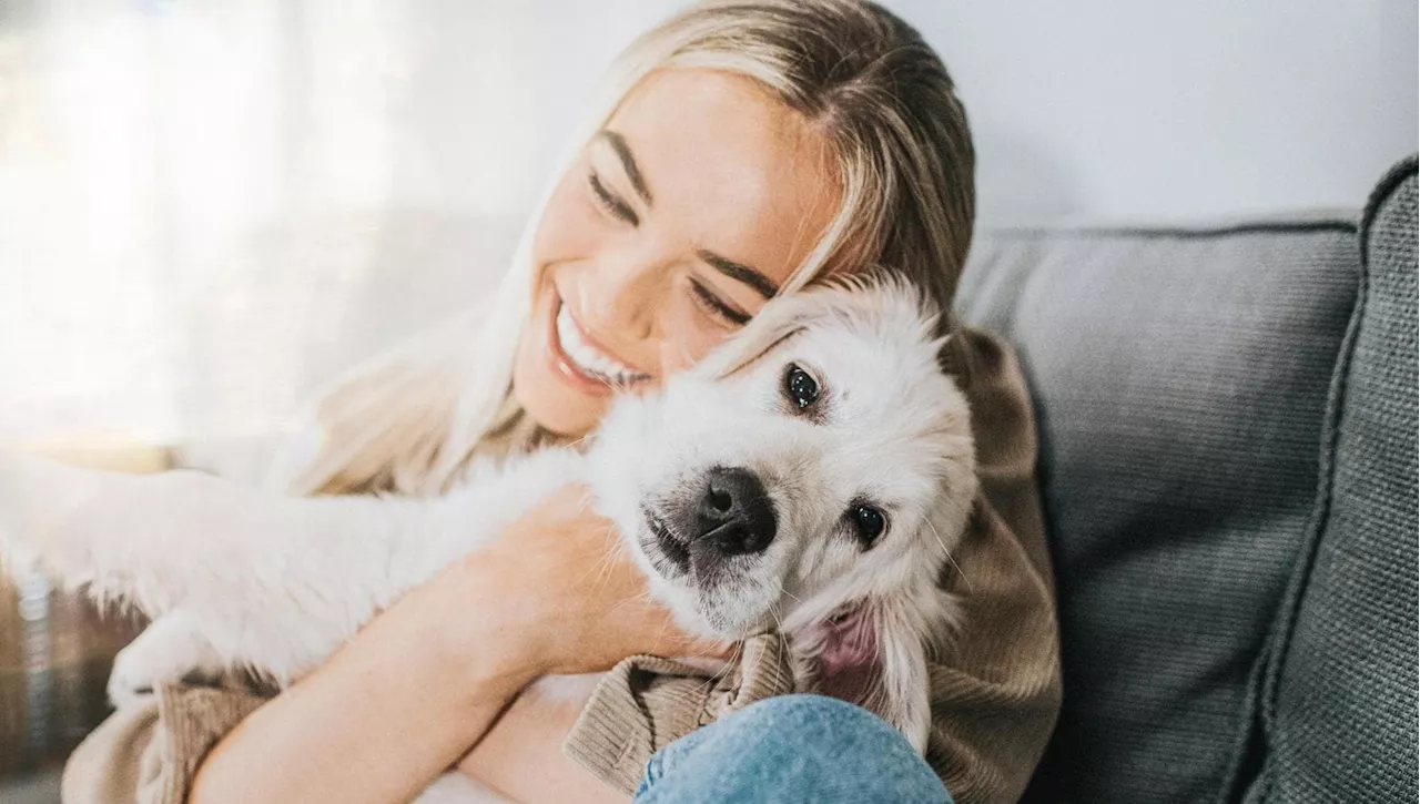 Ecco come i cani hanno un impatto diretto sulla nostra salute mentale