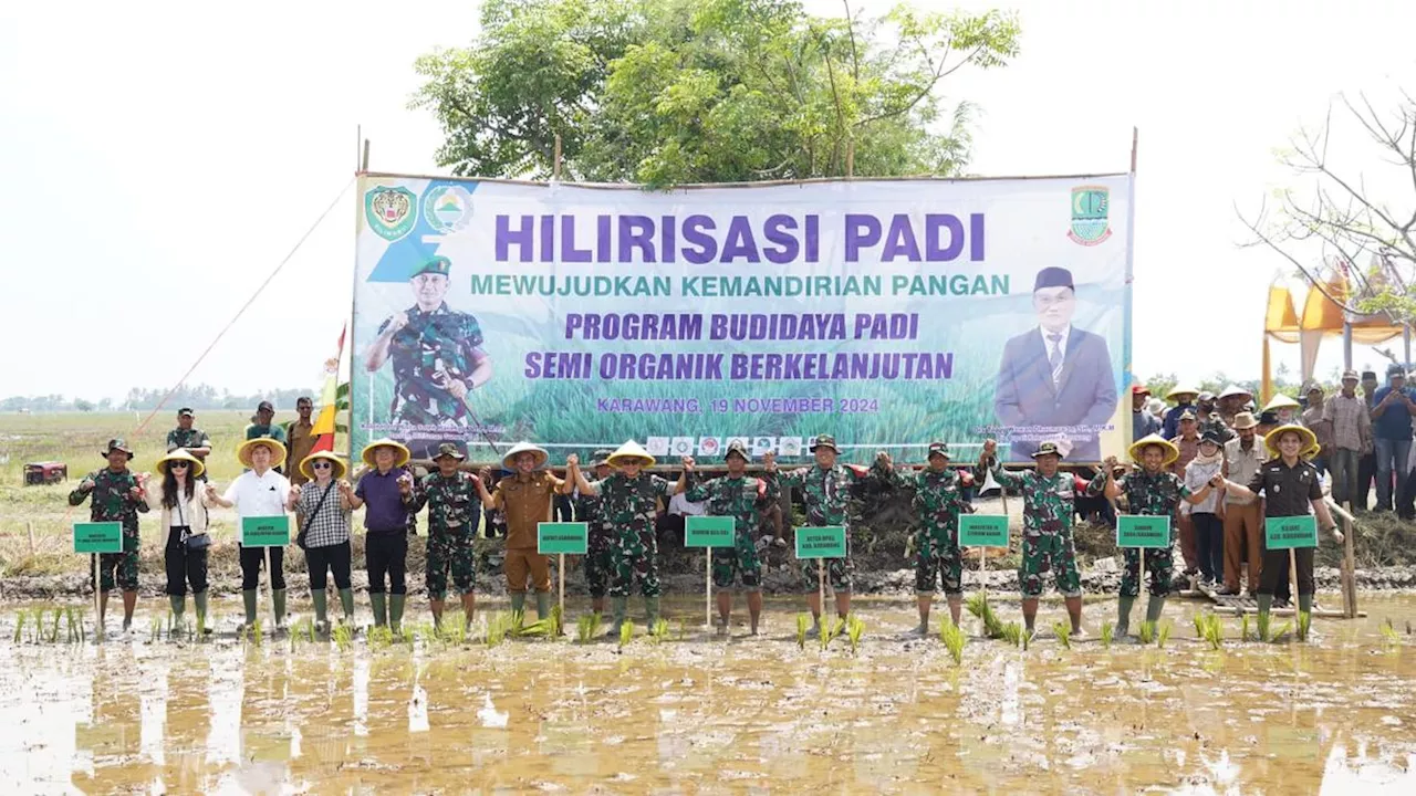 Gandeng TNI, Perusahaan Ini Tanami Ratusan Hektar Lahan Padi untuk Mendukung Ketahanan Pangan Nasional