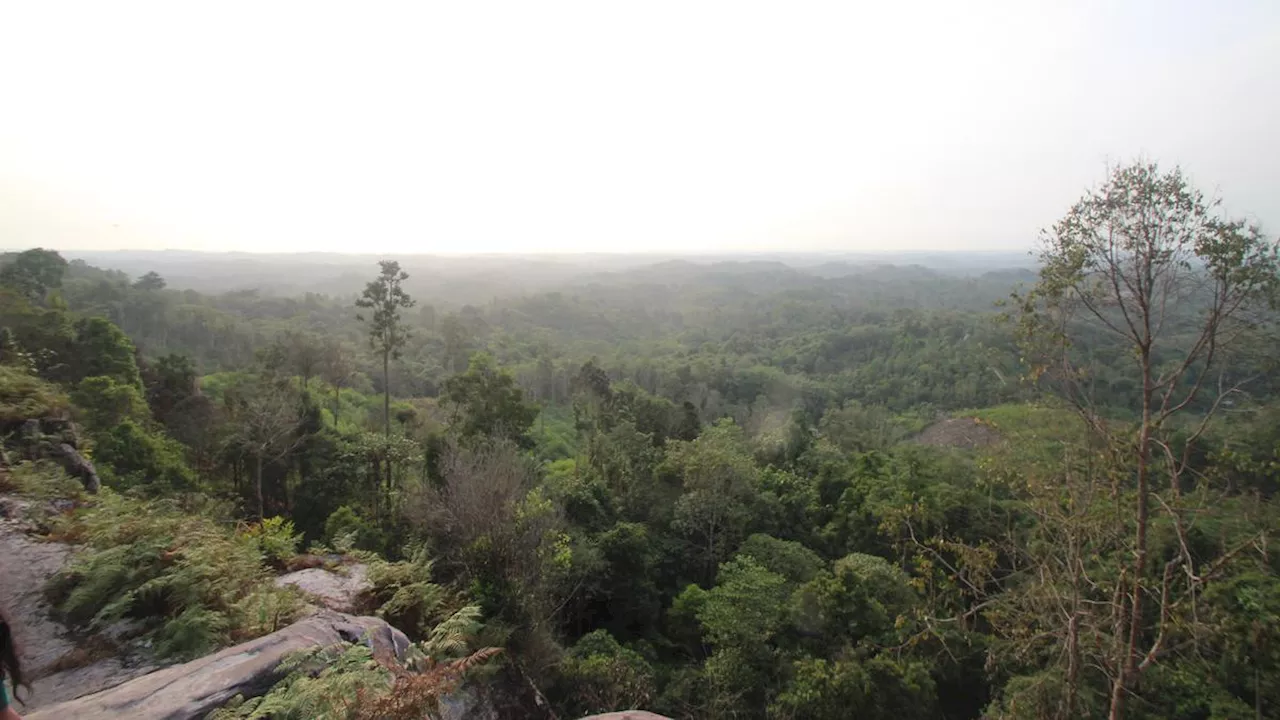 Taman Hutan Bukit Soeharto, Saksi Bisu Sejarah Kutai Kartanegara