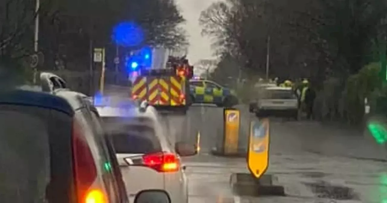 Police seal off bridge and trains cancelled as emergency services descend