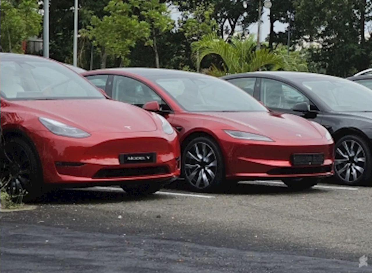 Tesla owners in Malaysia get new Autopark feature, but Smart Summon remains limited