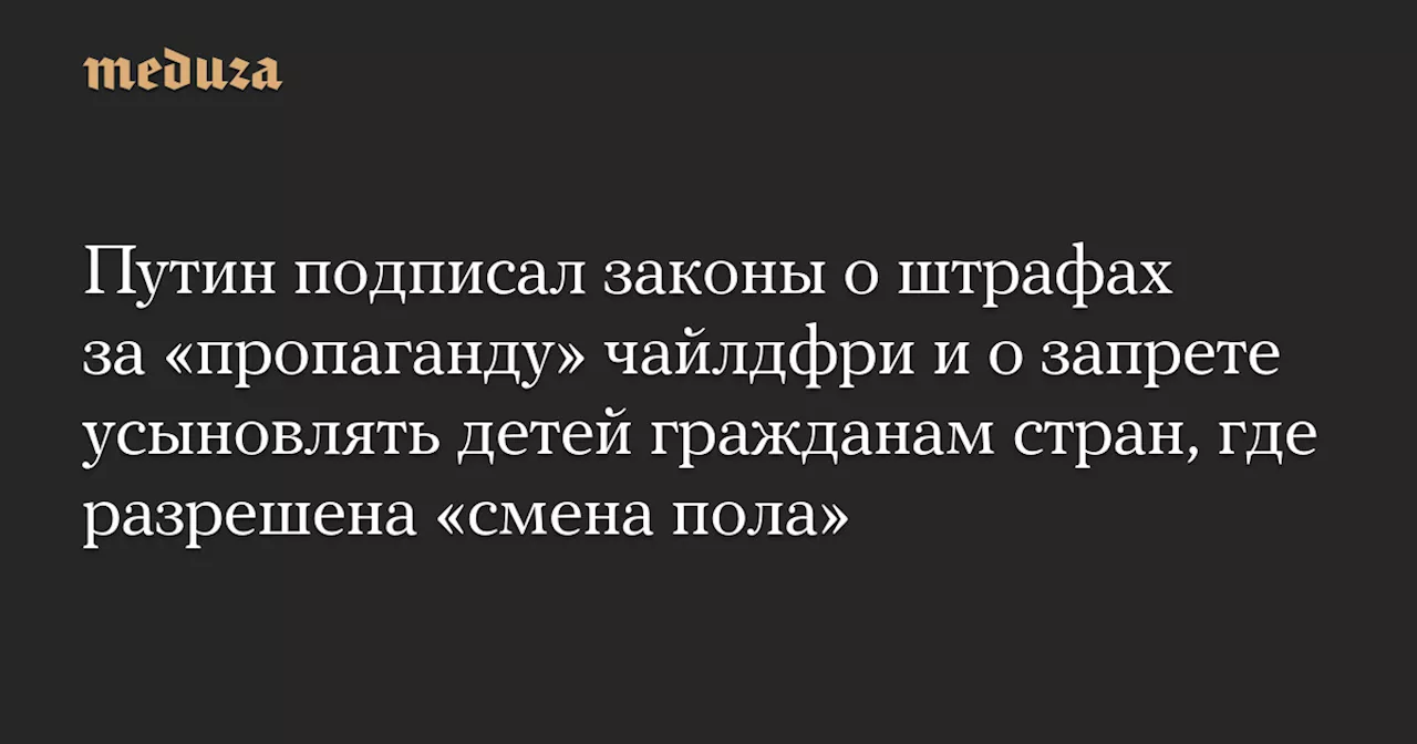 Путин подписал законы о штрафах за «пропаганду» чайлдфри и о запрете усыновлять детей гражданам стран, где разрешена «смена пола» — Meduza