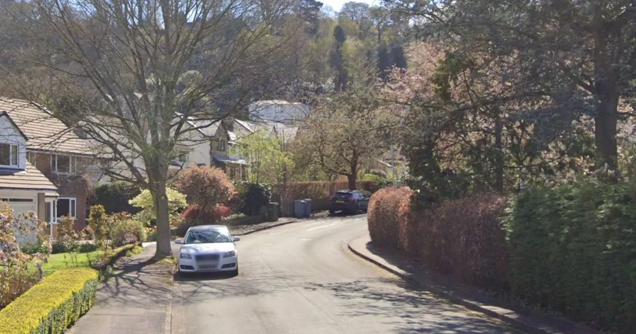 Jewellery stolen in Alderley Edge house raid by burglars with ladder