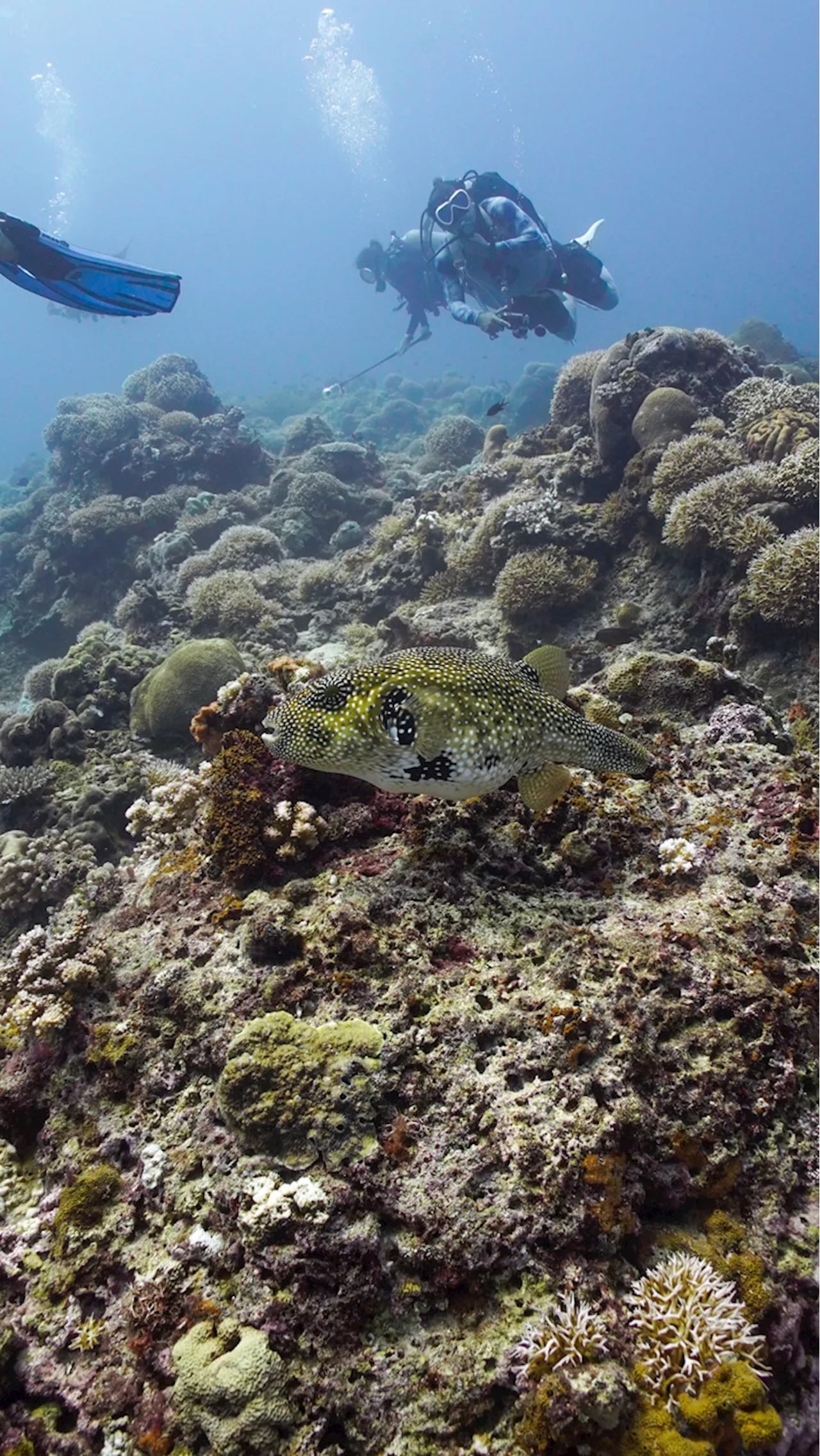 House Panel Approves Bill Creating Department of Fisheries and Aquatic Resources
