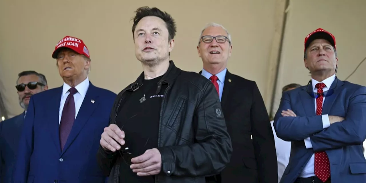 Musk polarisiert auf X - Abgeordnete fordern Prüfung