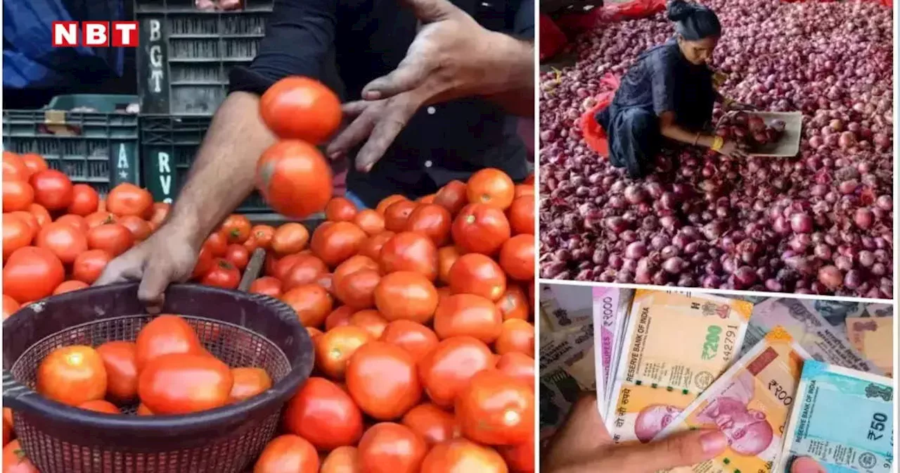 टमाटर से बनेगी शराब, एडिबल शीट्स भी होंगी तैयार! स्टार्टअप्स के नए आइडिया को मिली केंद्र से फंडिंग