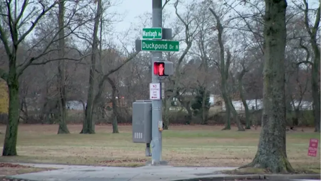 Officials: Man fatally struck by Nassau police vehicle in Wantagh