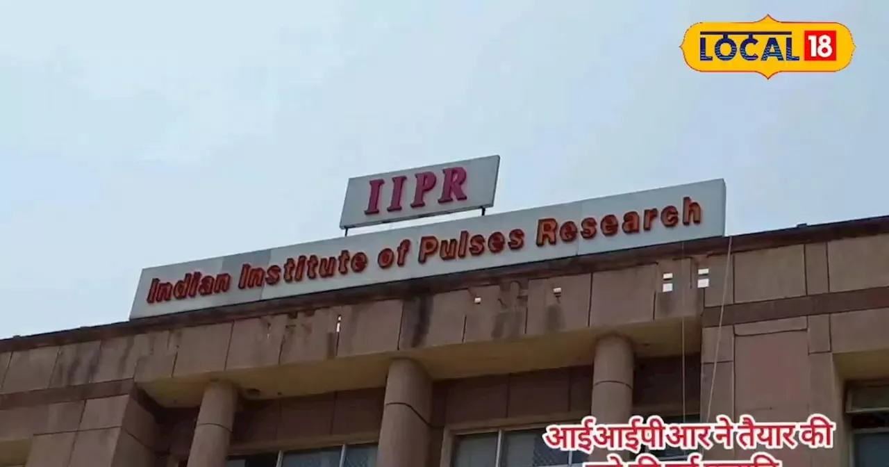 IIPR ने तैयार की ज्यादा प्रोटीन वाली चने की नई वेरायटी, किसानों की बल्ले-बल्ले