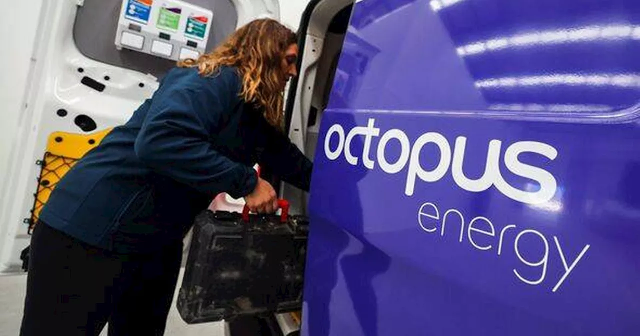 Octopus Energy customers get chance to save £300 off bills in one simple step