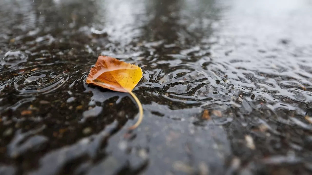 Rheinland-Pfalz & Saarland: Wetterwechsel in Rheinland-Pfalz und dem Saarland