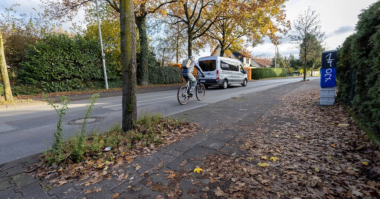 Radweg in Schloß Neuhaus im schlechten Zustand – warum das vorerst so bleibt