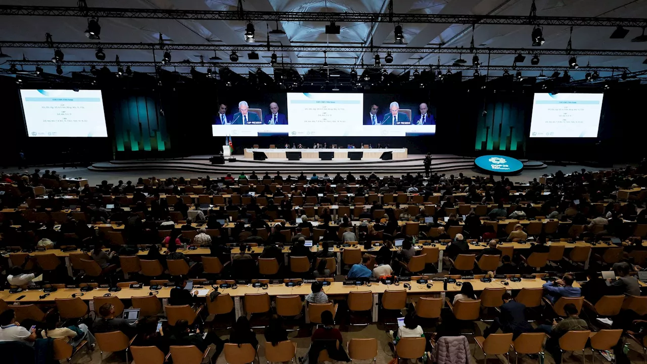 COP29 agrees deal to kick-start global carbon credit trading