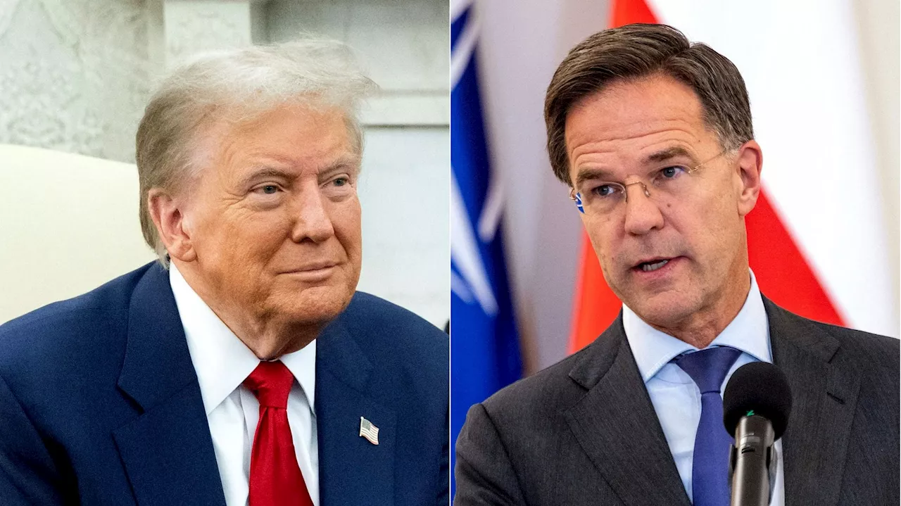 États-Unis : le secrétaire général de l'OTAN Mark Rutte a rencontré Donald Trump