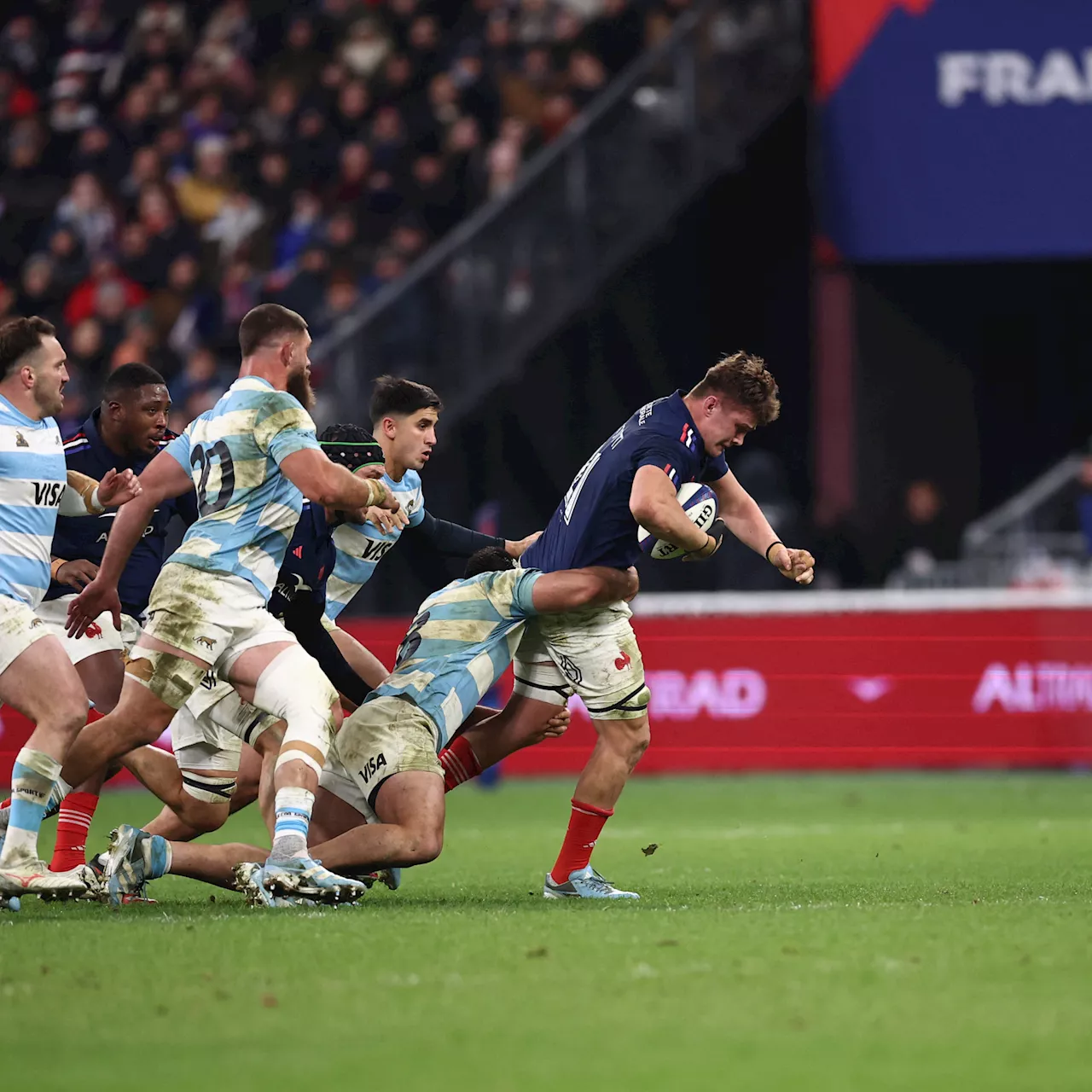 France-Argentine : les Bleus battent les Pumas et terminent invaincus de la tournée d'automne