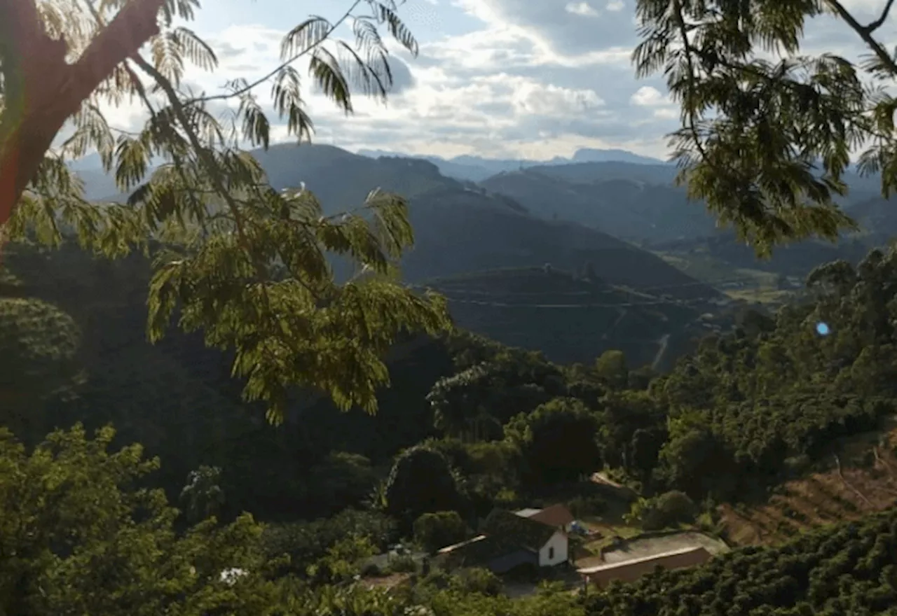 Caparaó Mineiro: sustentabilidade e excelência no café especial