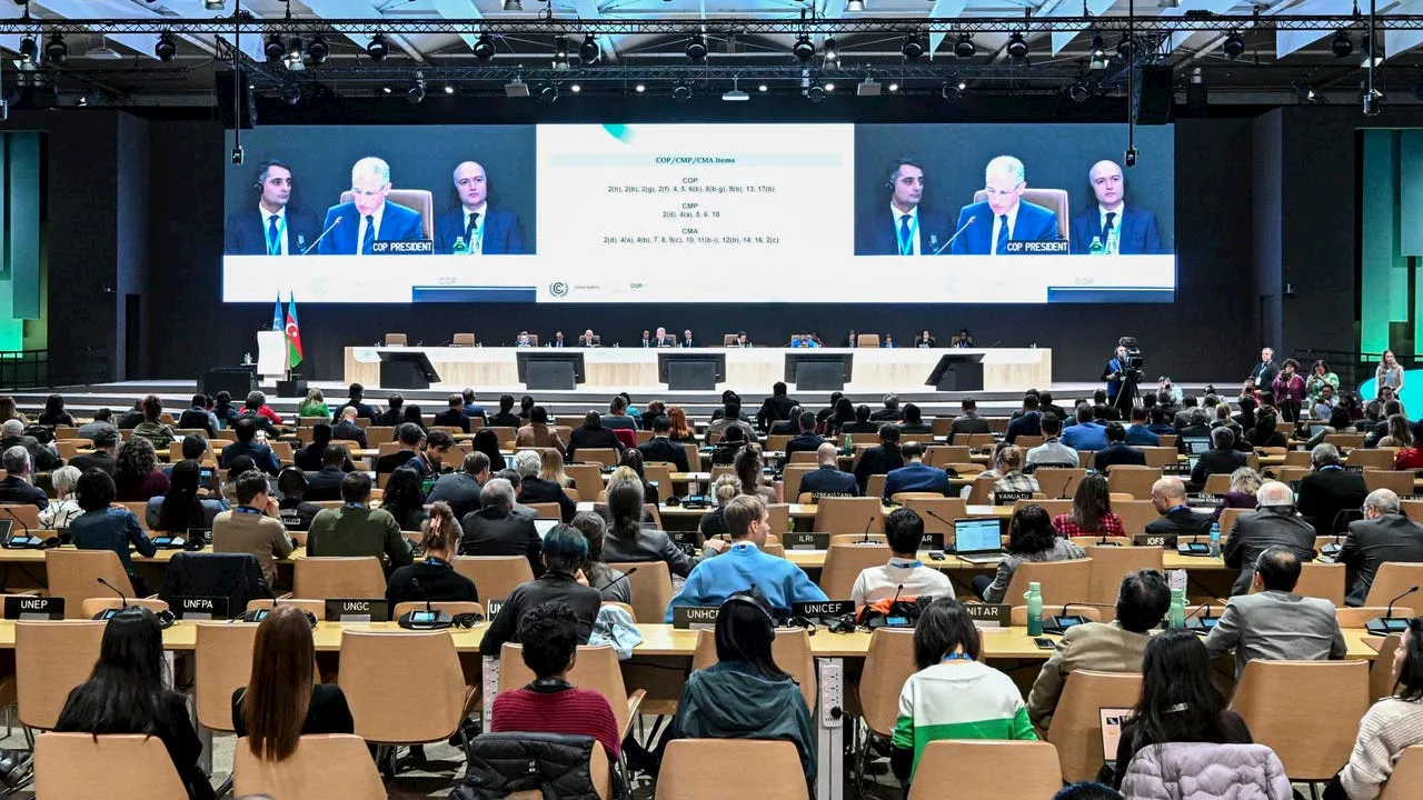 Acuerdo sobre Mercado de Carbono en la COP29