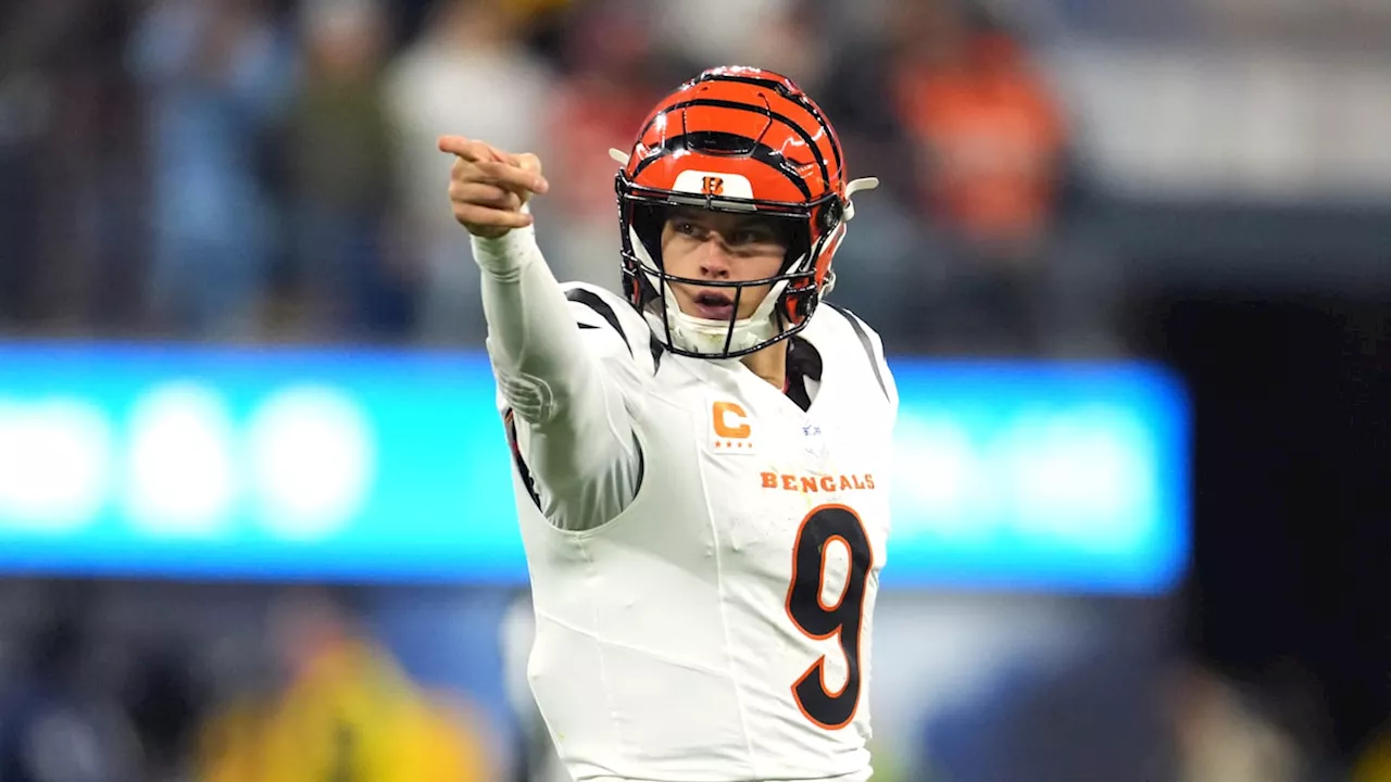 Cincinnati Bengals Best Bets Through 11 Weeks: A Look at Our Season So Far