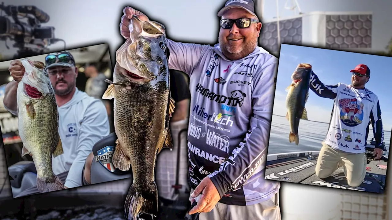 Monster Bass of 2024: Biggest Catches from Top Pro Tournaments