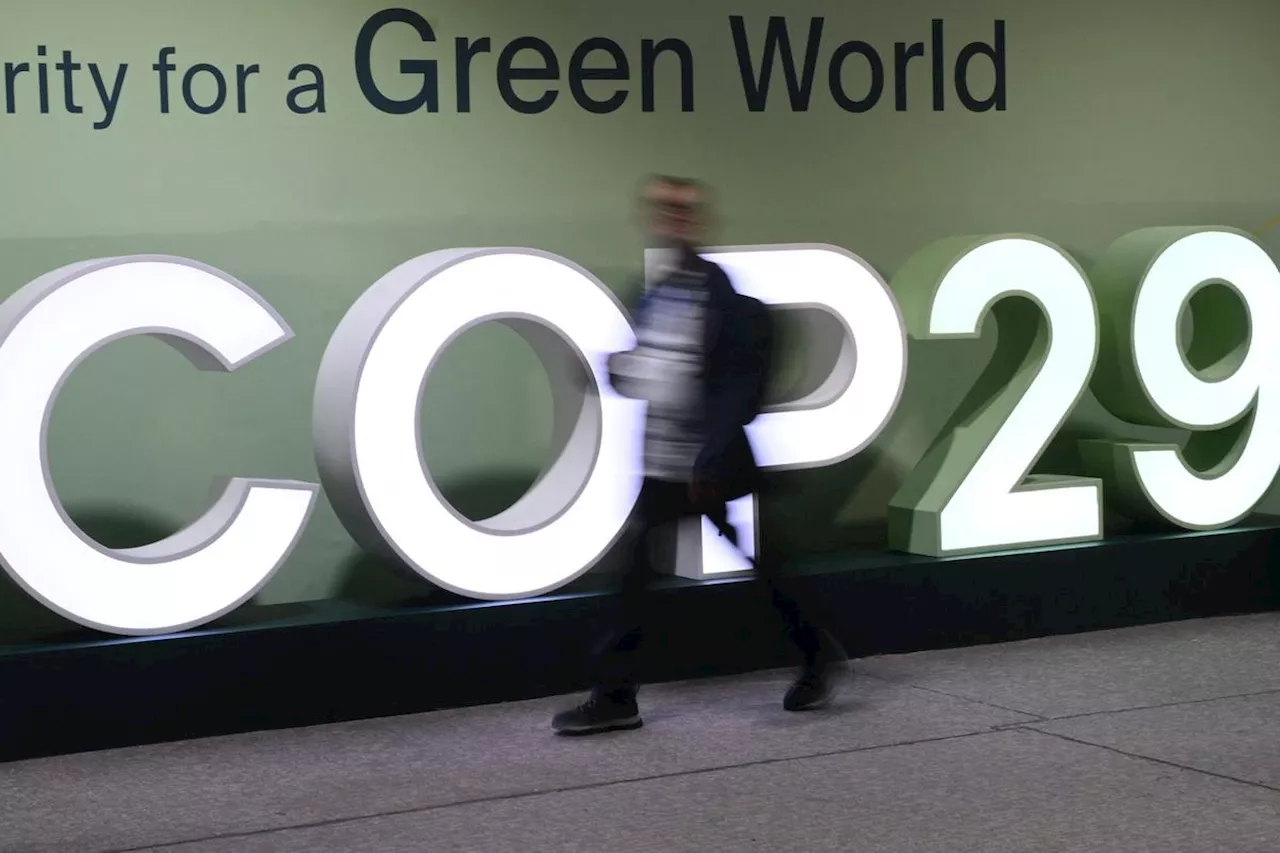 Climat : des crédits carbone pour atteindre les objectifs climatiques, voici les nouvelles règles adoptées à la COP29