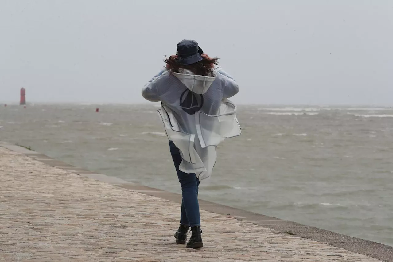 Tempête Bert : les Pyrénées-Atlantiques en vigilance orange pour vents violents ce dimanche