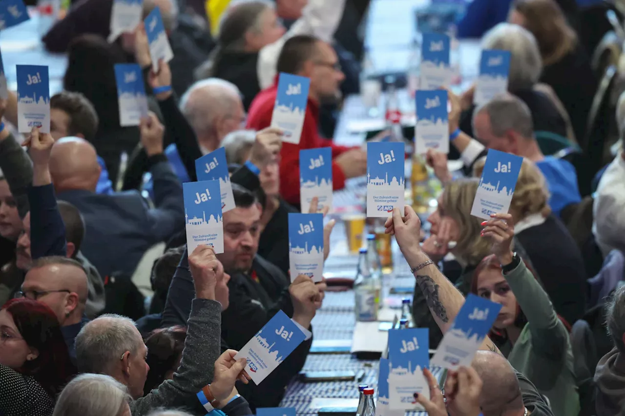 Greding: AfD beschließt „bayerische Resolution für Remigration“