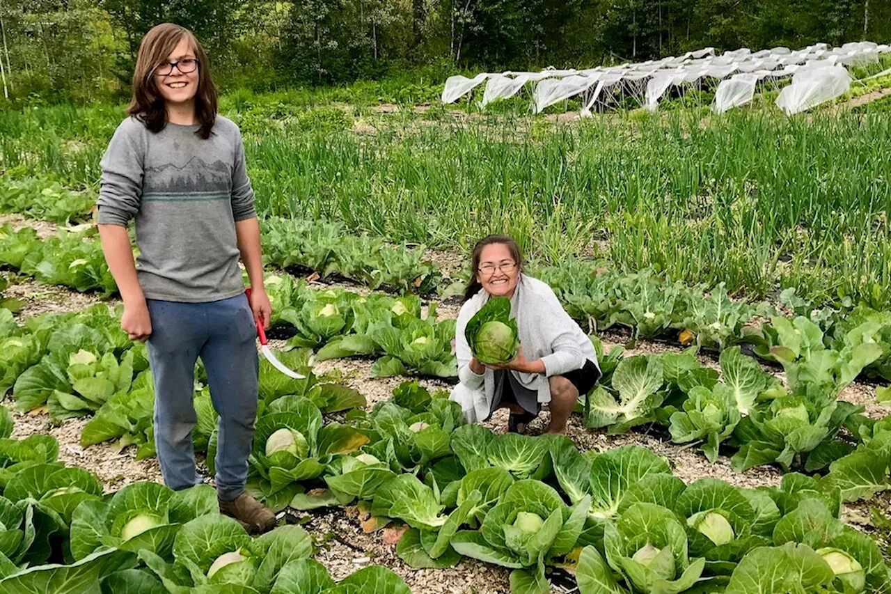 Indigenous food action grants enhance food security in northern B.C.