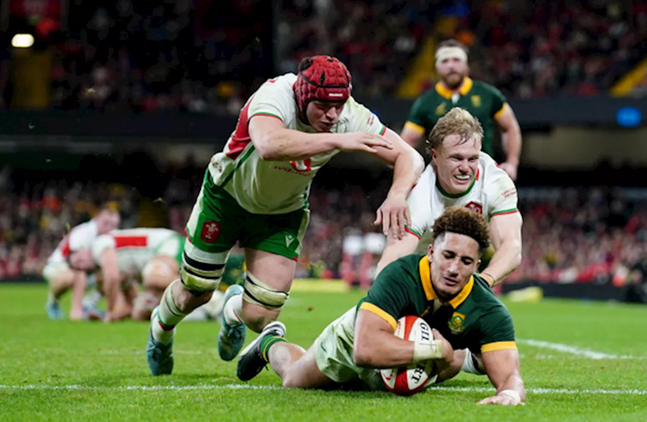 World champions South Africa hammer winless Wales by 33 points