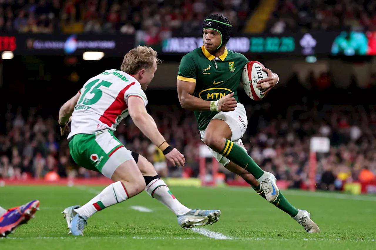 Springbok player ratings in 45-12 win against Wales in Cardiff