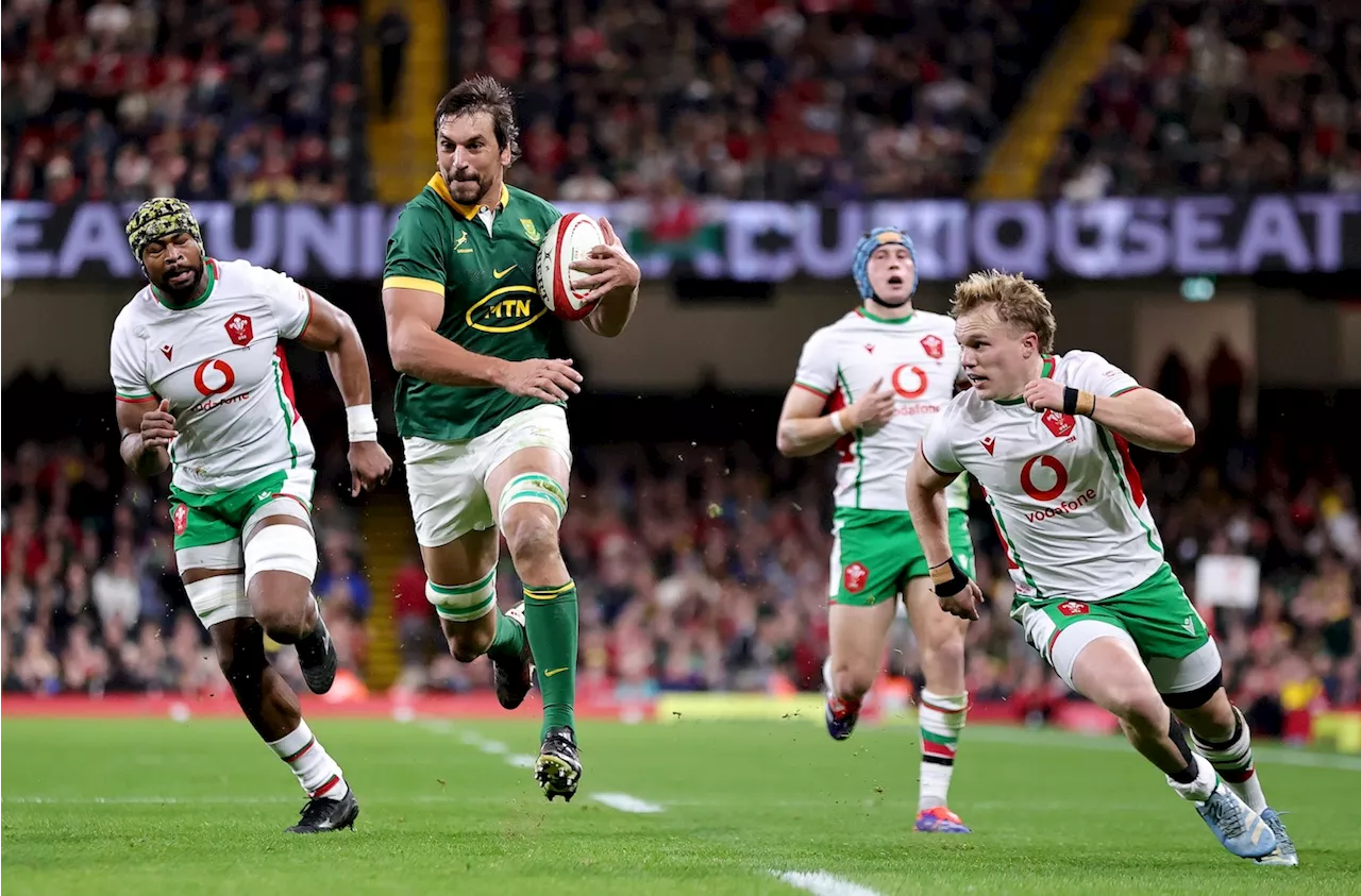  Super-charged Springboks close out season on high!