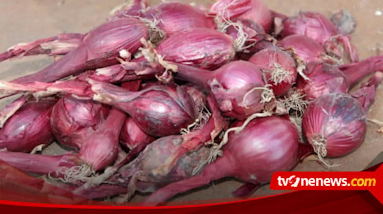 Harga Bahan Pangan Naik Lagi di Akhir Pekan, Bawang Merah Rp40.430 per Kilogram