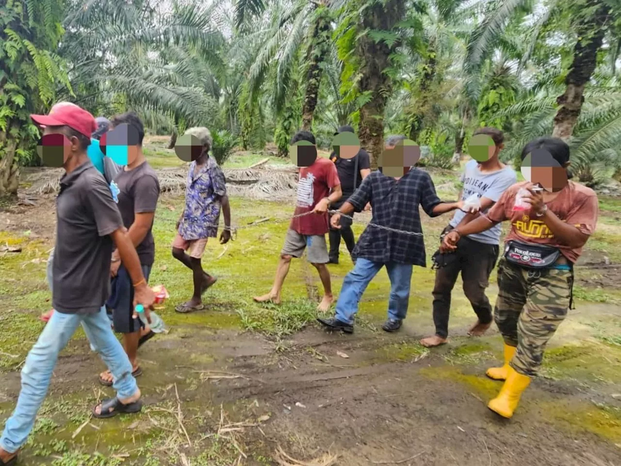 Ladang sawit, belukar di Kajang, Klang, Kuala Langat jadi sarang penagih dadah