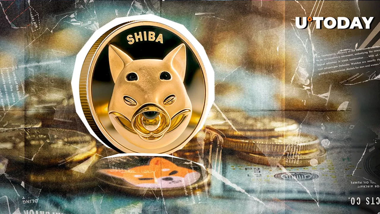 SHIB Lead Devs Cautions Against Retweeting Suspicious Actors