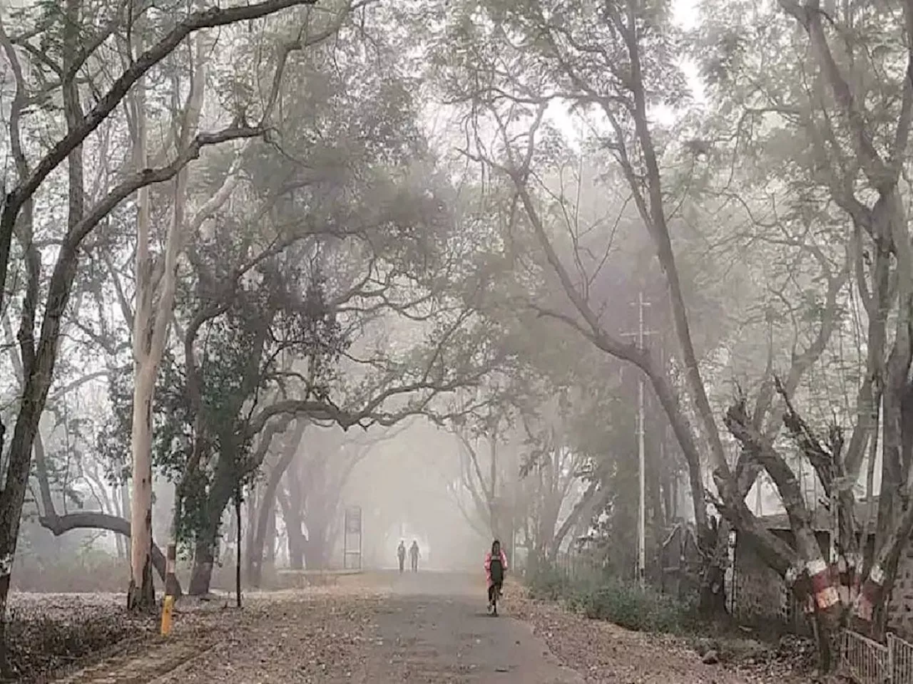 आठवड्याच्या शेवटी खुशाल करा हिवाळी सहलीचा प्लॅन; कोणत्या भागांमध्ये वाढणार थंडीचा कडाका?