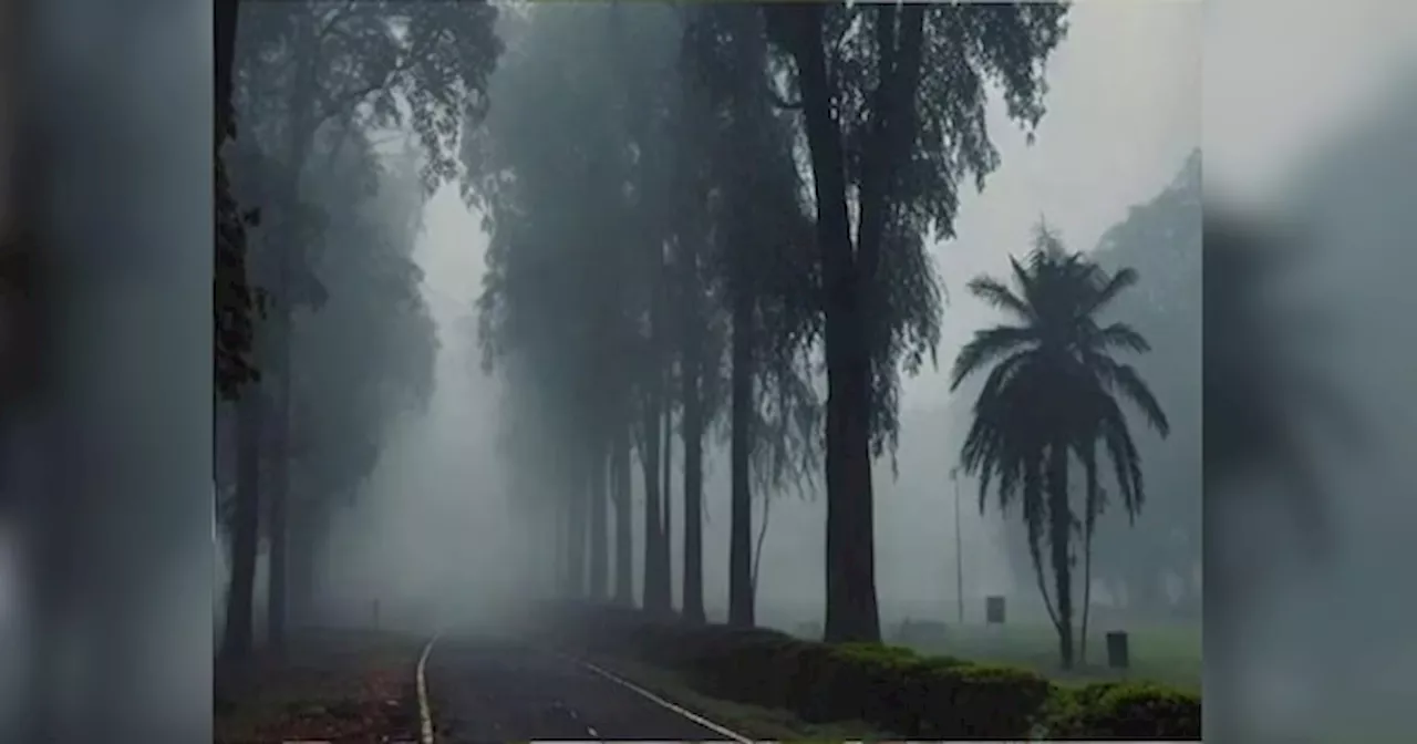 Bihar Weather: सर्द पछुआ हवा ने बढ़ाई ठंड, तापमान में 4 डिग्री तक गिरावट, हाजीपुर की हवा सबेस प्रदूषित