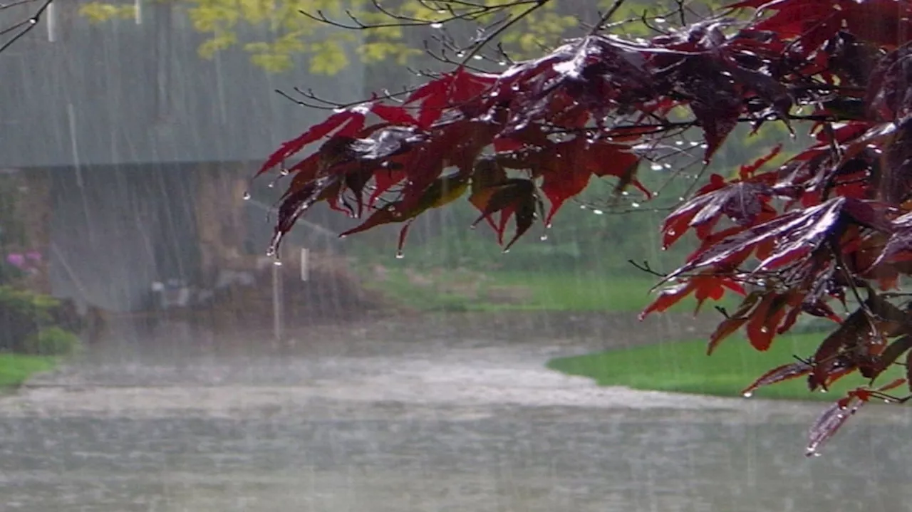 Kerala Rain Alert: ചക്രവാതച്ചുഴി ന്യൂനമർദമാകും; സംസ്ഥാനത്ത് മഴ തുടരും